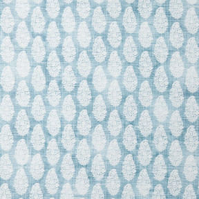 Blue/White