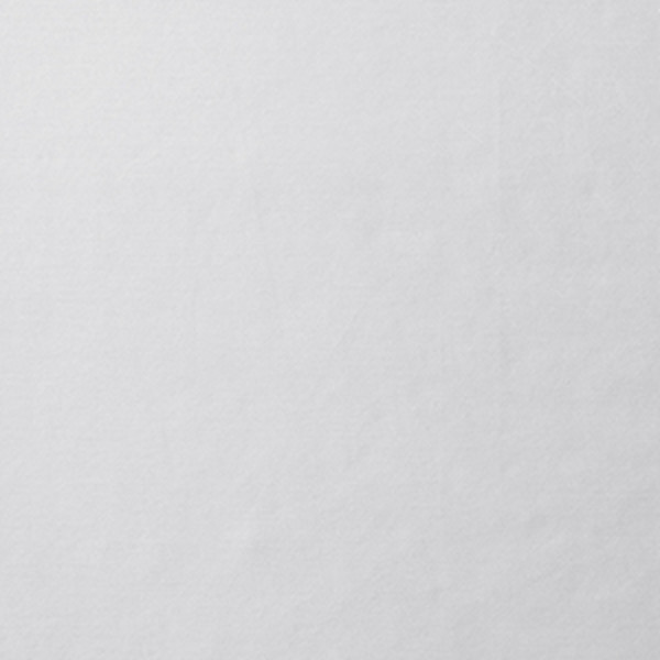 Premium Smooth Supima® Cotton Wrinkle-Free Sateen Pillowcase Set - Light Gray, Standard,Light Gray
