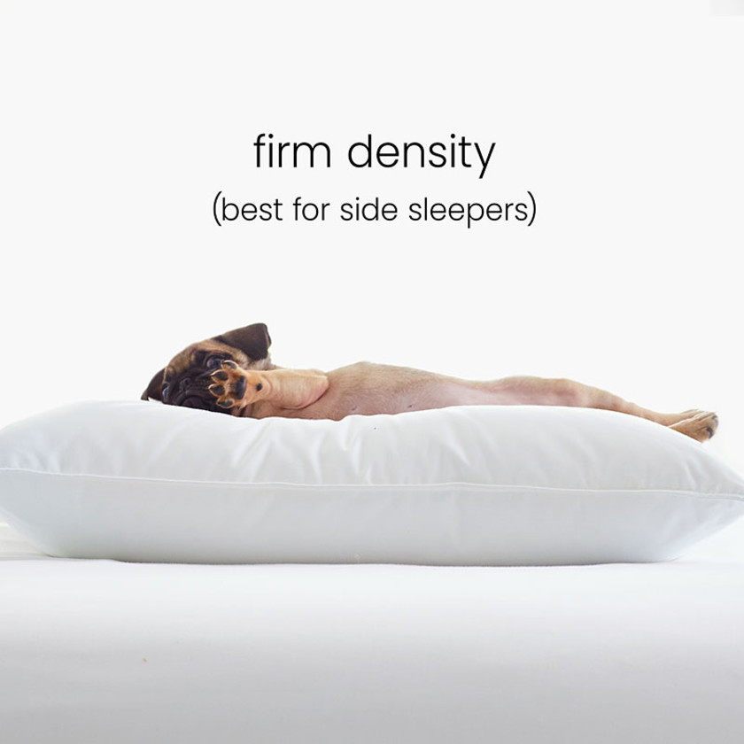 Down and Wool Pillow - White,